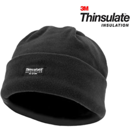 Photo of Beanie Mens P/F Thinsulte Lin