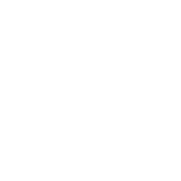 Photo of Gesha Coffee Panama (250g)