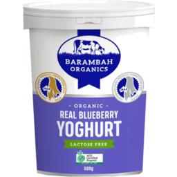 Photo of Barambah Organics Real Blueberry Yoghurt