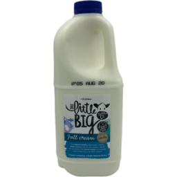 Photo of Little Big Dairy F/C Milk 2l
