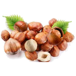 Photo of Premium Choice Hazelnut Kernels