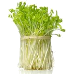 Photo of Snow Pea Sprout 100g