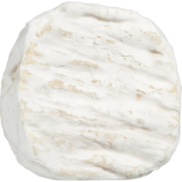 Photo of Fratelli Chev Goat Cheese Kg
