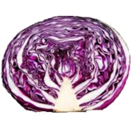 Photo of Organic Red Cabbage Half