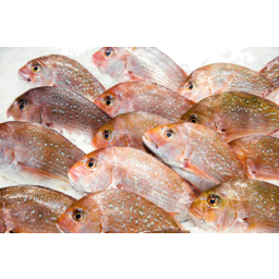 Photo of Whole Snapper Kg