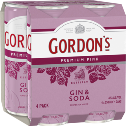Photo of Gordon's Pink & Soda 250mL
