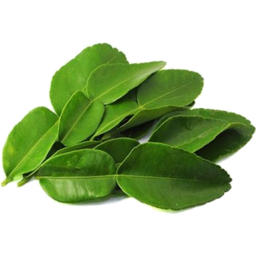 Photo of Lime Leaf Pack