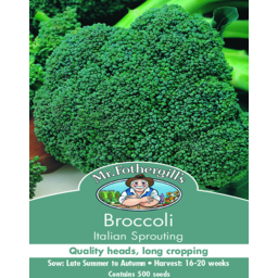 Photo of Seed Broccoli Italian Sprout A