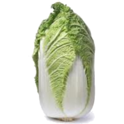 Photo of Cabbage Wombok Ea