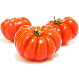 Photo of Tomatoes Bullock Kg Rtc