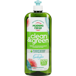 Photo of Morning Fresh Clean And Green Eucalyptus 650ml
