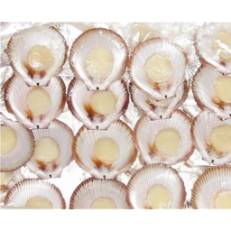 Photo of Scallops Half Shell 1/2 Dozen