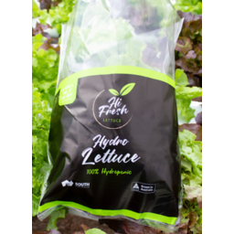 Photo of Hi Fresh Hydro Lettuce Ea