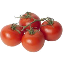 Photo of Tomatoes Hydro Kg