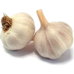 Photo of Garlic Australian