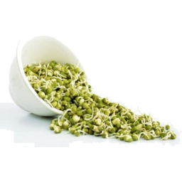 Photo of Sprouts Mung Beans Punnet Ea