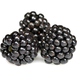 Photo of Blackberries (125g punnet)