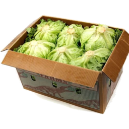 Photo of Box Lettuce Iceburg