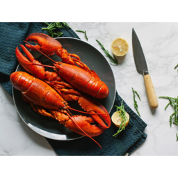 Photo of Lobster Per Kg
