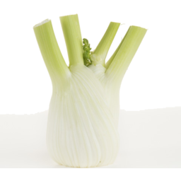 Photo of Fennel