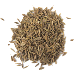 Photo of Caraway Seeds
