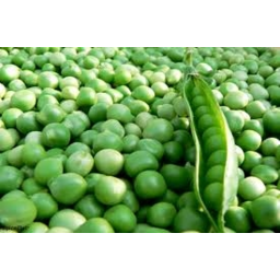 Photo of Peas