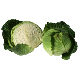 Photo of Cabbage Green - half