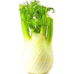 Photo of Fennel(Each)