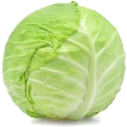 Photo of Cabbage Plain /Ea