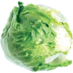 Photo of Lettuce - Organic