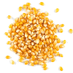 Photo of Healthy Necessities Organic Popping Corn 400g