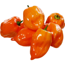 Photo of Capsicums Orange Kg
