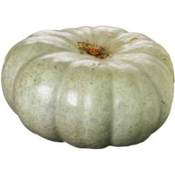 Photo of Pumpkin Jarradale