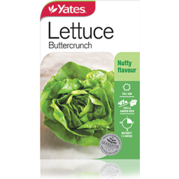 Photo of Yates Seeds Lettuce Buttercrunc