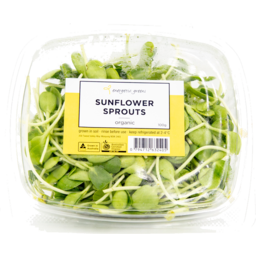 Photo of Org Sprouts Sunflower Live