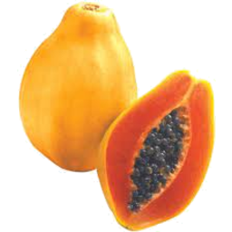 Photo of Papaya Red