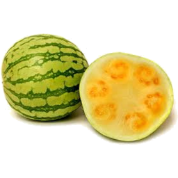 Photo of Melon - Champagne Whole Each