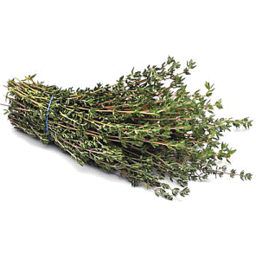 Photo of Herb Thyme