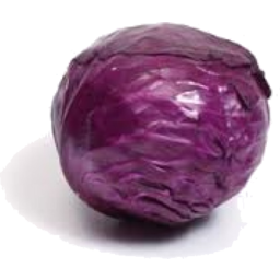 Photo of Cabbage Red