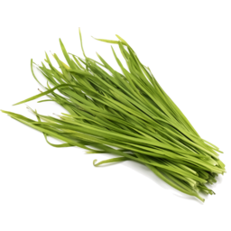 Photo of Herb - Chives - Garlic