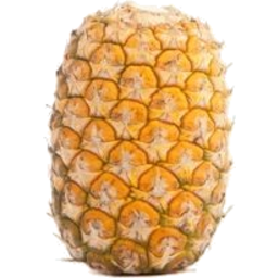 Photo of Pineapple With Tops Whole
