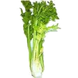 Photo of Celery [1/2]