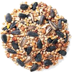 Photo of FINE SEED DISK