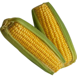 Photo of Corn Cobb 2pk