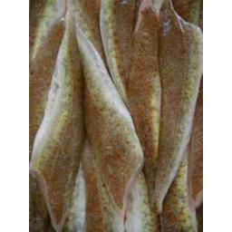 Photo of Fresh Tasmanian Flathead Fillets skin on