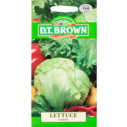 Photo of Dt Brown Seeds Lettuce Iceberg