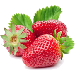 Photo of Strawberries Large Pnt
