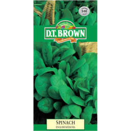 Photo of D.T.Brown Seeds Spinach English Medania