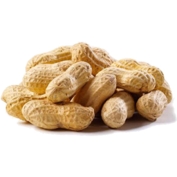Photo of Nuts - Peanuts In Shell Kingaroy