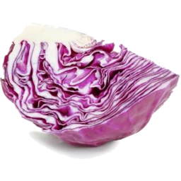 Photo of Cabbage - Purple Quarter